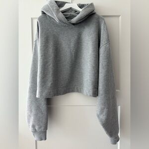 ALO Yoga BAE Cropped Gray Hoodie